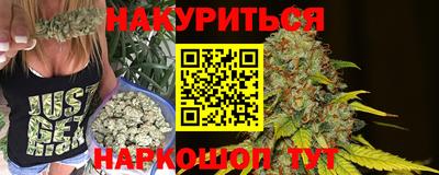 молекула духа Краснодар