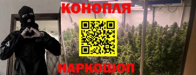 молекула духа Краснодар