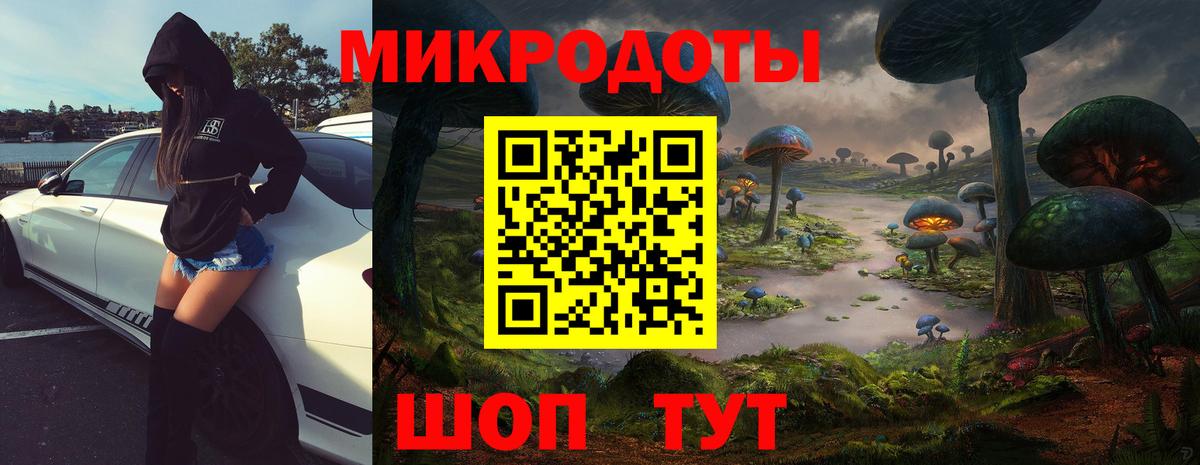 Знаменск  Галлюциногенные грибы Psilocybine cubensis  Вход с VPN  Галлюциногенные грибы Psilocybe 