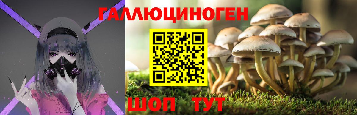 Псилоцибиновые грибы ЛСД Знаменск