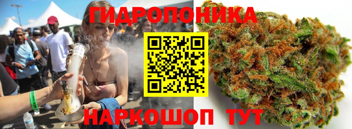 Конопля сатива Знаменск